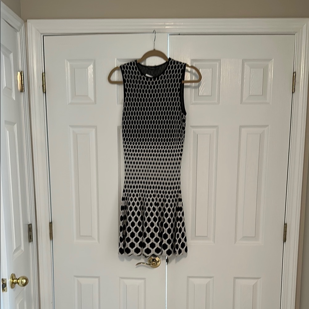 Alexander McQueen Black and White Sleeveless Mini Dress